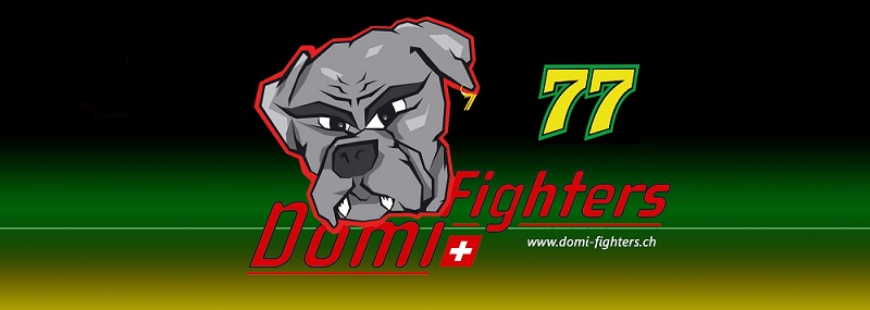 DomiFighterHomepage800x285.jpg